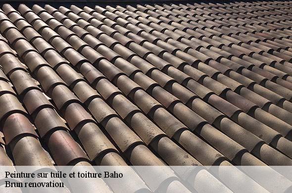 Peinture sur tuile et toiture  baho-66540 Brun renovation