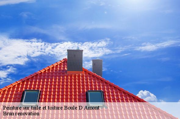 Peinture sur tuile et toiture  boule-d-amont-66130 Brun renovation