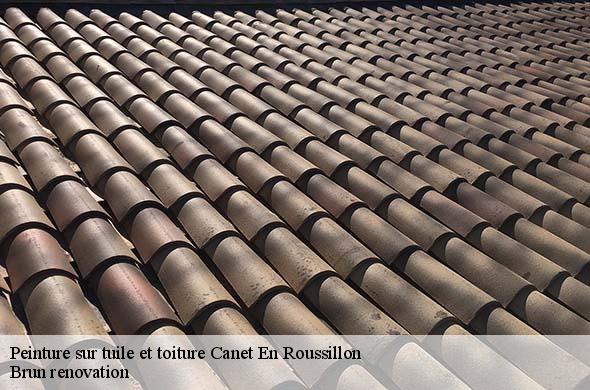 Peinture sur tuile et toiture  canet-en-roussillon-66140 Brun renovation