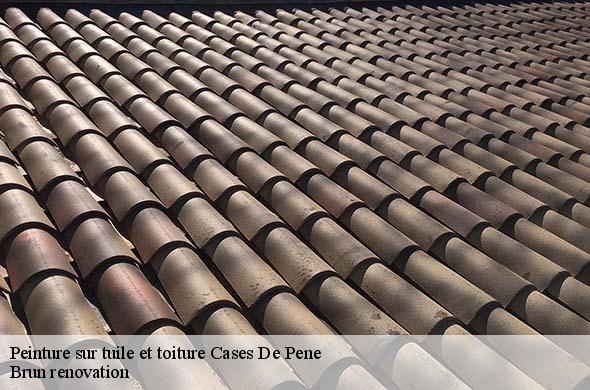 Peinture sur tuile et toiture  cases-de-pene-66600 Brun renovation