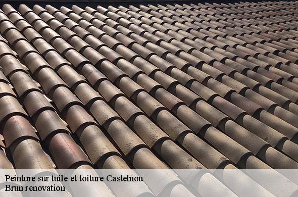 Peinture sur tuile et toiture  castelnou-66300 Brun renovation