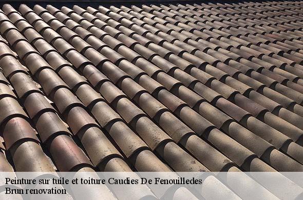 Peinture sur tuile et toiture  caudies-de-fenouilledes-66220 Brun renovation