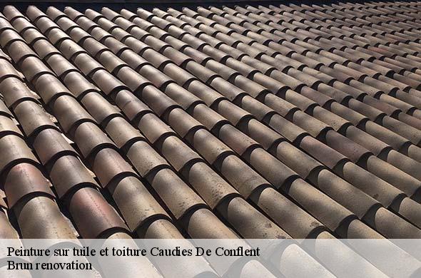 Peinture sur tuile et toiture  caudies-de-conflent-66360 Brun renovation