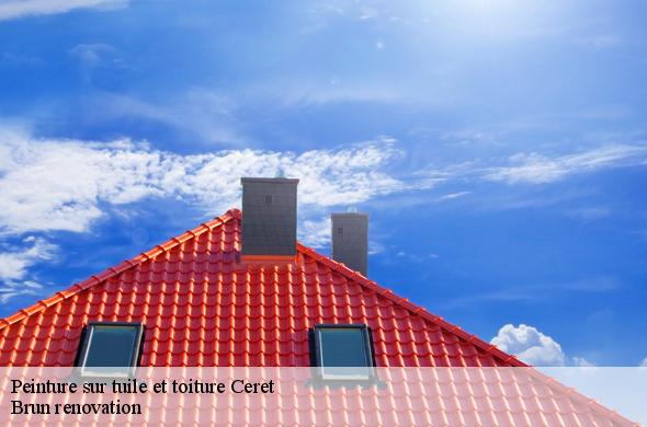 Peinture sur tuile et toiture  ceret-66400 Brun renovation