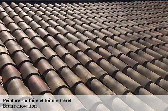 Peinture sur tuile et toiture  ceret-66400 Brun renovation