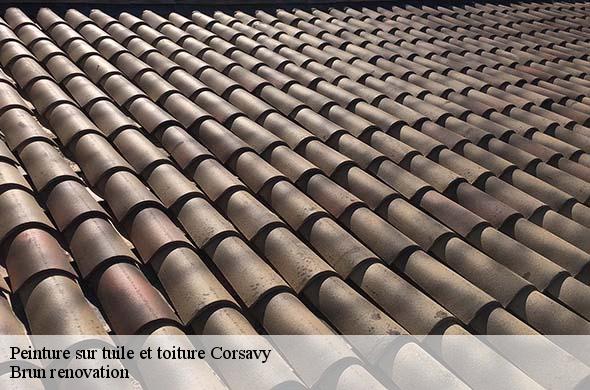 Peinture sur tuile et toiture  corsavy-66150 Brun renovation
