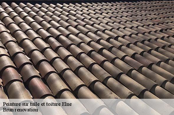 Peinture sur tuile et toiture  elne-66200 Brun renovation