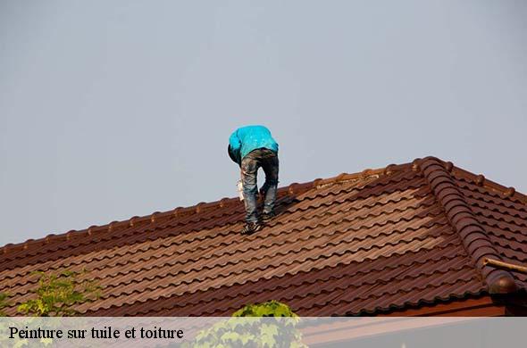 Peinture sur tuile et toiture  glorianes-66320 Brun renovation