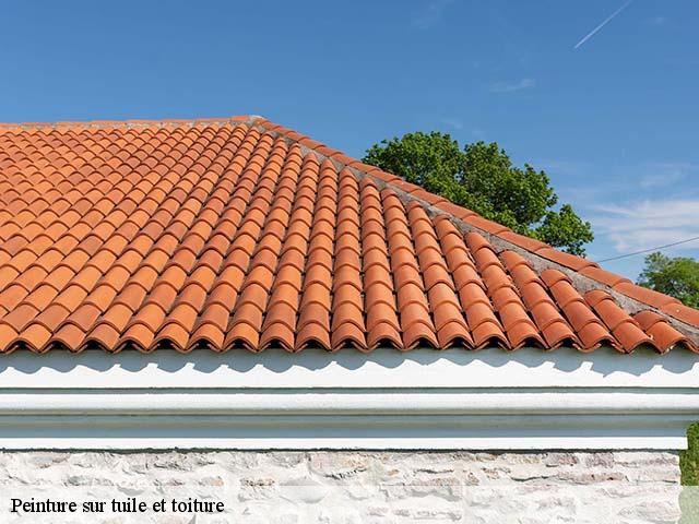 Peinture sur tuile et toiture  glorianes-66320 Brun renovation