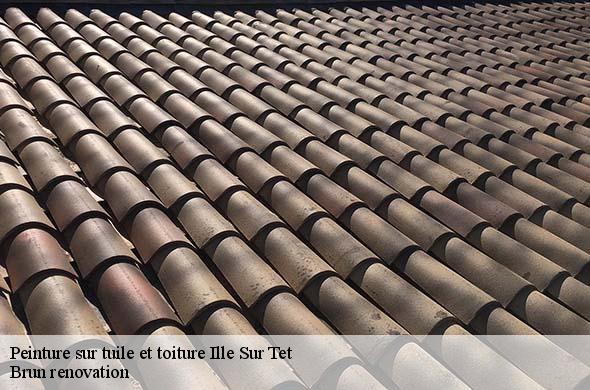 Peinture sur tuile et toiture  ille-sur-tet-66130 Brun renovation