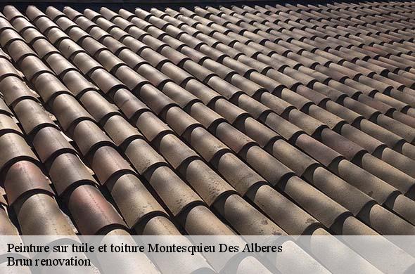 Peinture sur tuile et toiture  montesquieu-des-alberes-66740 Brun renovation