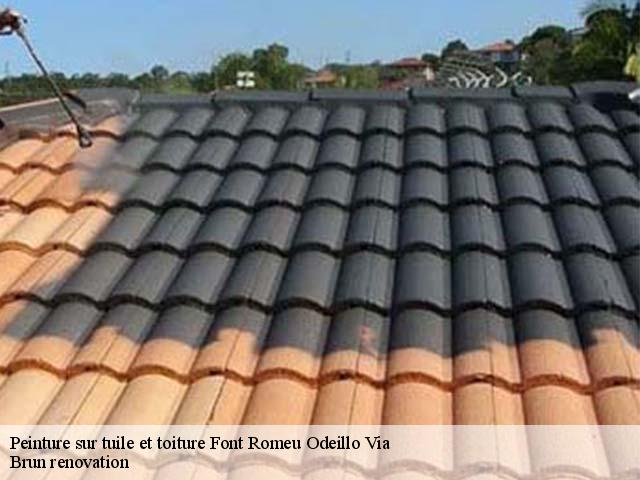 Peinture sur tuile et toiture  font-romeu-odeillo-via-66120 Brun renovation