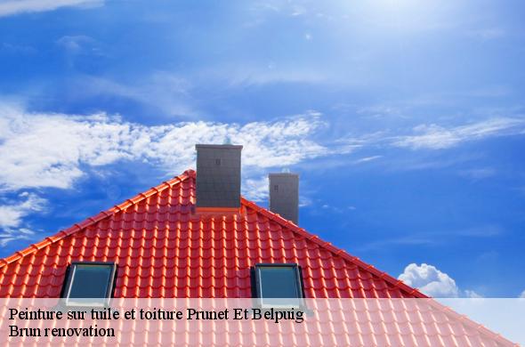 Peinture sur tuile et toiture  prunet-et-belpuig-66130 EJ Couverture