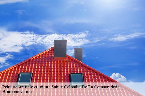 Peinture sur tuile et toiture  sainte-colombe-de-la-commanderie-66300 Brun renovation