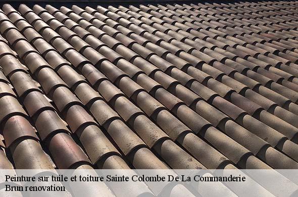Peinture sur tuile et toiture  sainte-colombe-de-la-commanderie-66300 Brun renovation