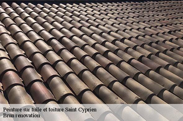 Peinture sur tuile et toiture  saint-cyprien-66750 Brun renovation