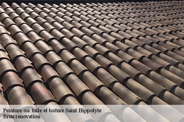 Peinture sur tuile et toiture  saint-hippolyte-66510 Brun renovation