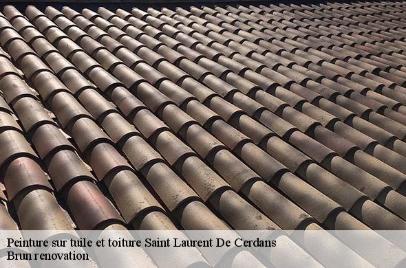 Peinture sur tuile et toiture  saint-laurent-de-cerdans-66260 Brun renovation