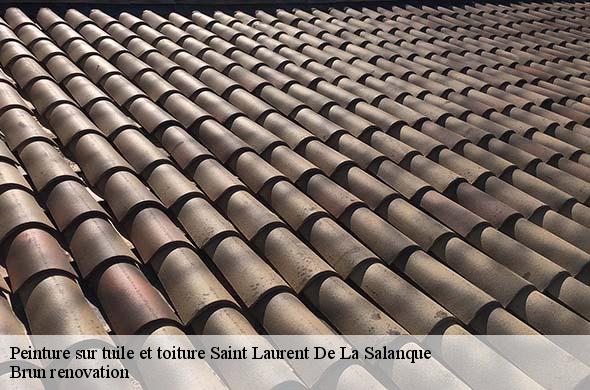 Peinture sur tuile et toiture  saint-laurent-de-la-salanque-66250 Brun renovation