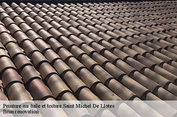 Peinture sur tuile et toiture  saint-michel-de-llotes-66130 Brun renovation
