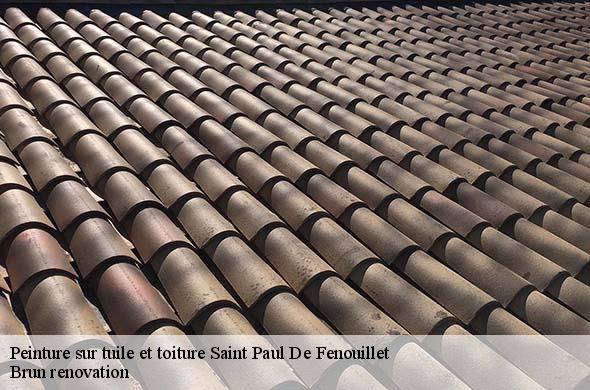 Peinture sur tuile et toiture  saint-paul-de-fenouillet-66220 Brun renovation