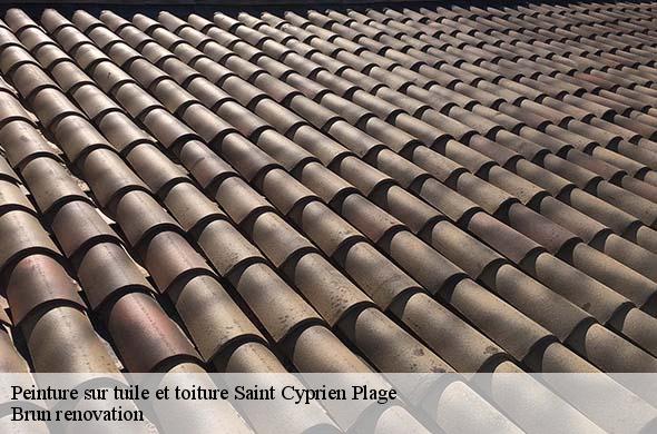 Peinture sur tuile et toiture  saint-cyprien-plage-66750 Brun renovation