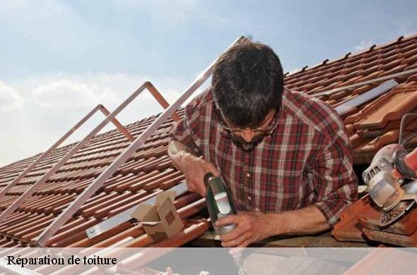 Réparation de toiture  les-angles-66210 Brun renovation