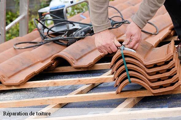 Réparation de toiture  ansignan-66220 Brun renovation