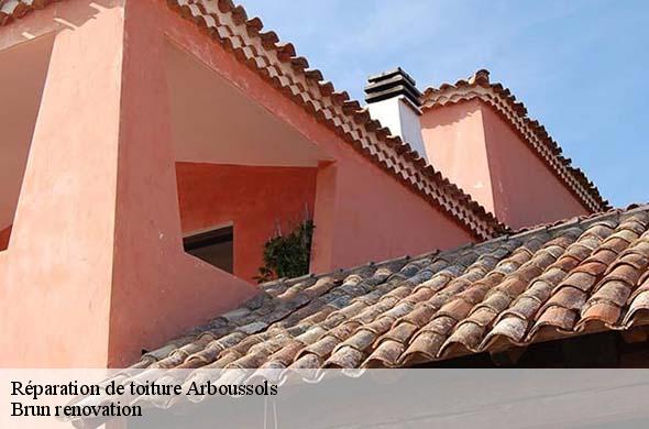 Réparation de toiture  arboussols-66320 Brun renovation
