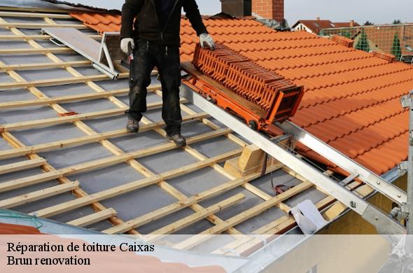 Réparation de toiture  caixas-66300 Brun renovation