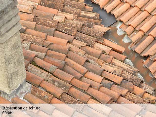 Réparation de toiture  canaveilles-66360 Brun renovation