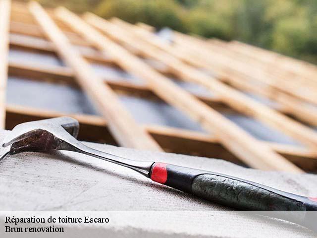 Réparation de toiture  escaro-66360 Brun renovation