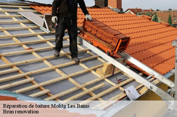 Réparation de toiture  molitg-les-bains-66500 Brun renovation