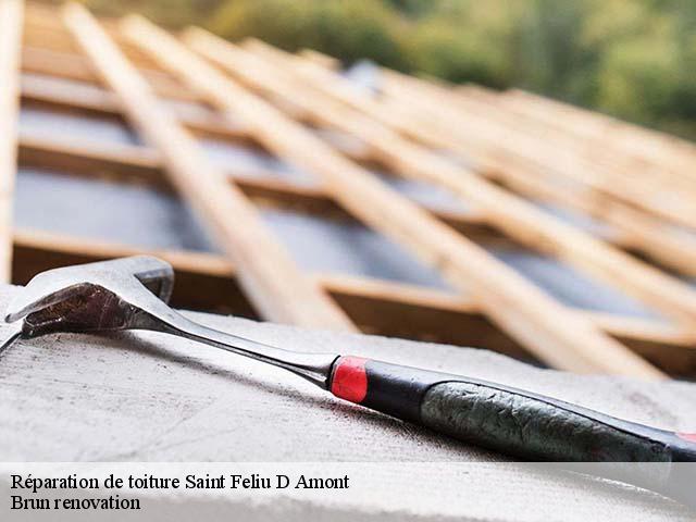 Réparation de toiture  saint-feliu-d-amont-66170 Brun renovation