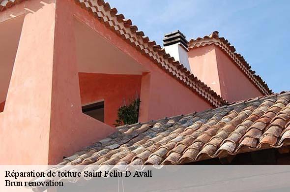 Réparation de toiture  saint-feliu-d-avall-66170 Brun renovation