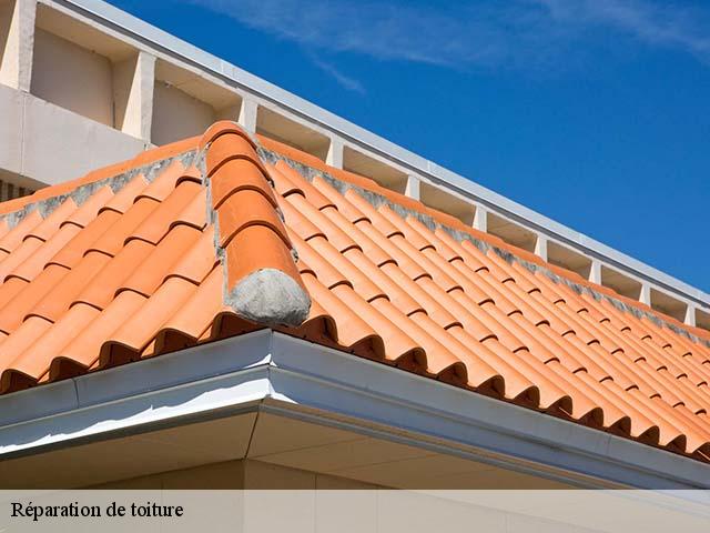 Réparation de toiture  saint-jean-lasseille-66300 Brun renovation