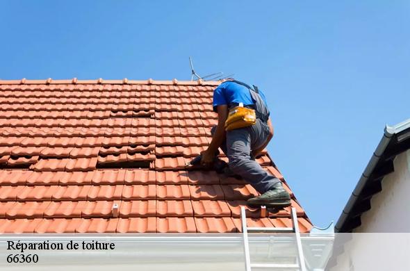Réparation de toiture  serdinya-66360 Brun renovation
