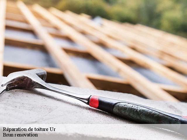 Réparation de toiture  ur-66760 Brun renovation