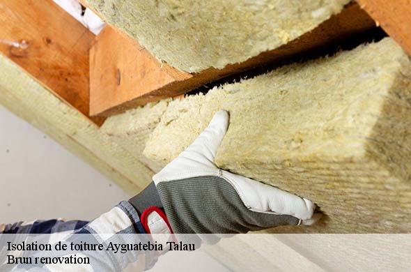 Isolation de toiture  ayguatebia-talau-66360 Brun renovation