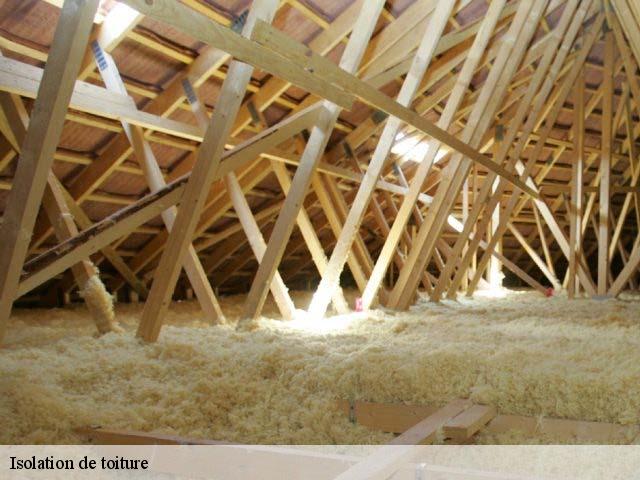 Isolation de toiture  coustouges-66260 Brun renovation