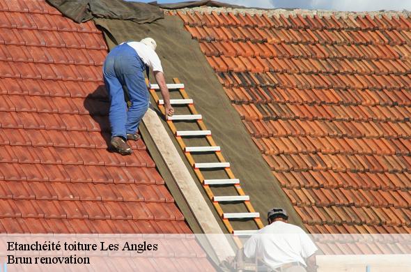 Etanchéité toiture  les-angles-66210 Brun renovation