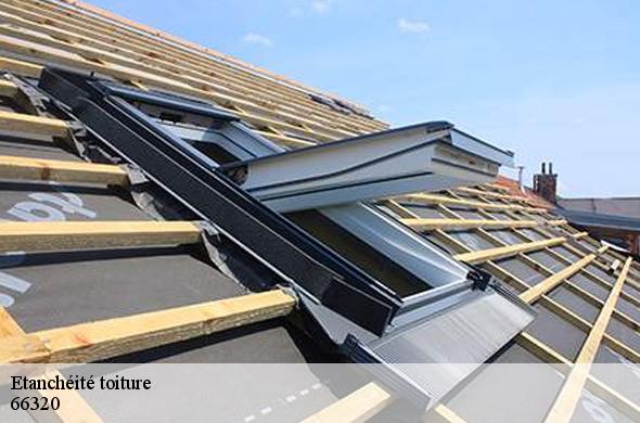 Etanchéité toiture  arboussols-66320 Brun renovation