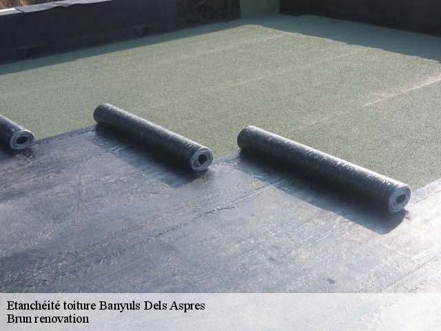 Etanchéité toiture  banyuls-dels-aspres-66300 Brun renovation
