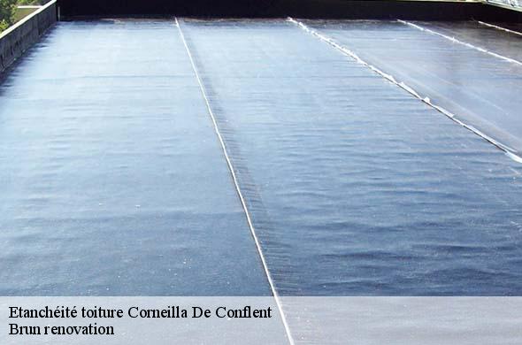 Etanchéité toiture  corneilla-de-conflent-66820 Brun renovation