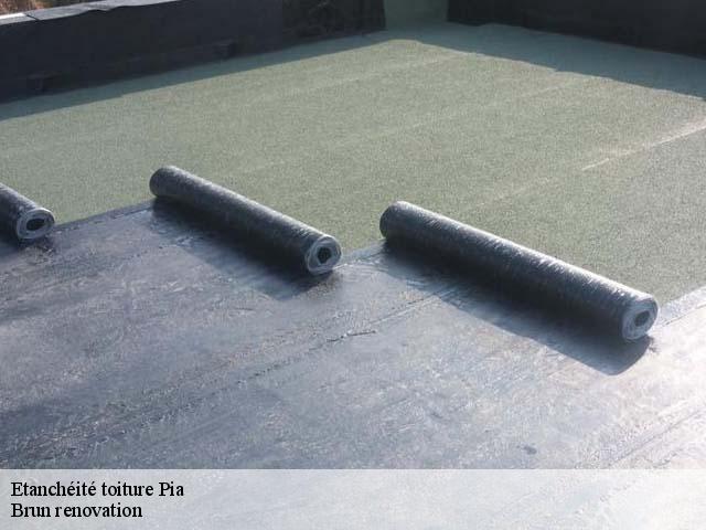 Etanchéité toiture  pia-66380 Brun renovation