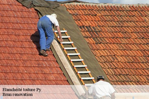 Etanchéité toiture  py-66360 Brun renovation