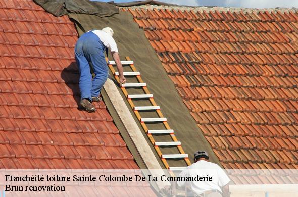 Etanchéité toiture  sainte-colombe-de-la-commanderie-66300 Brun renovation