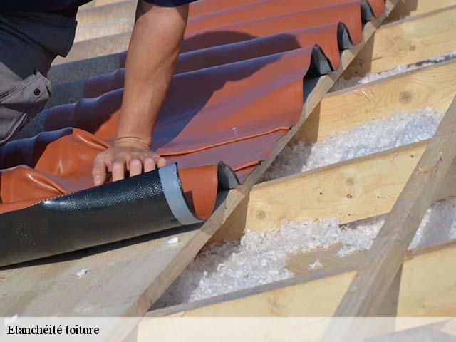 Etanchéité toiture  saint-cyprien-66750 Brun renovation