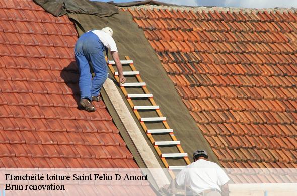 Etanchéité toiture  saint-feliu-d-amont-66170 Brun renovation