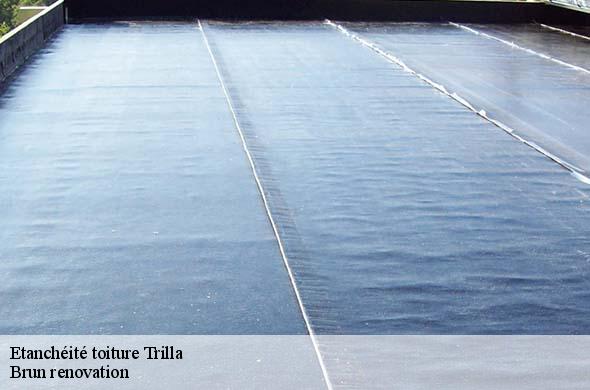 Etanchéité toiture  trilla-66220 Brun renovation